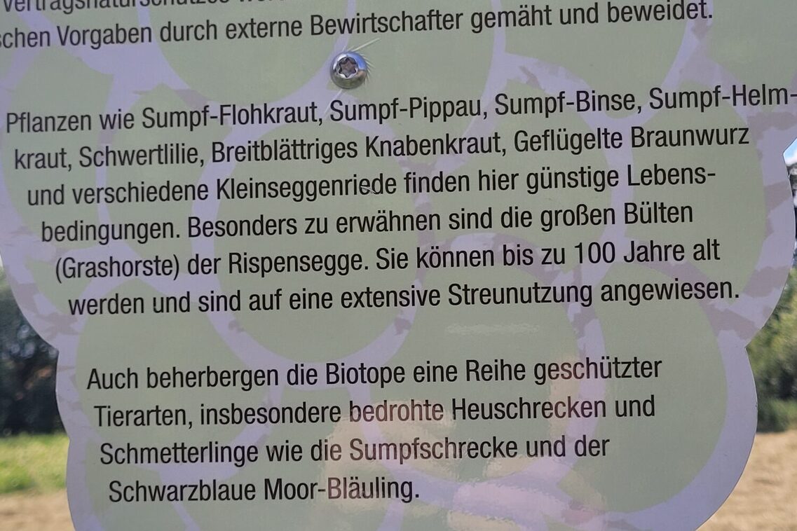Wein- und Naturlehrpfad - Herrlicher Blick über die heimischen Weinberge.
