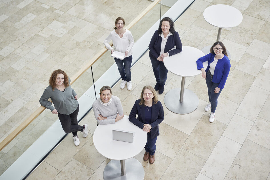 Team Tourist Service