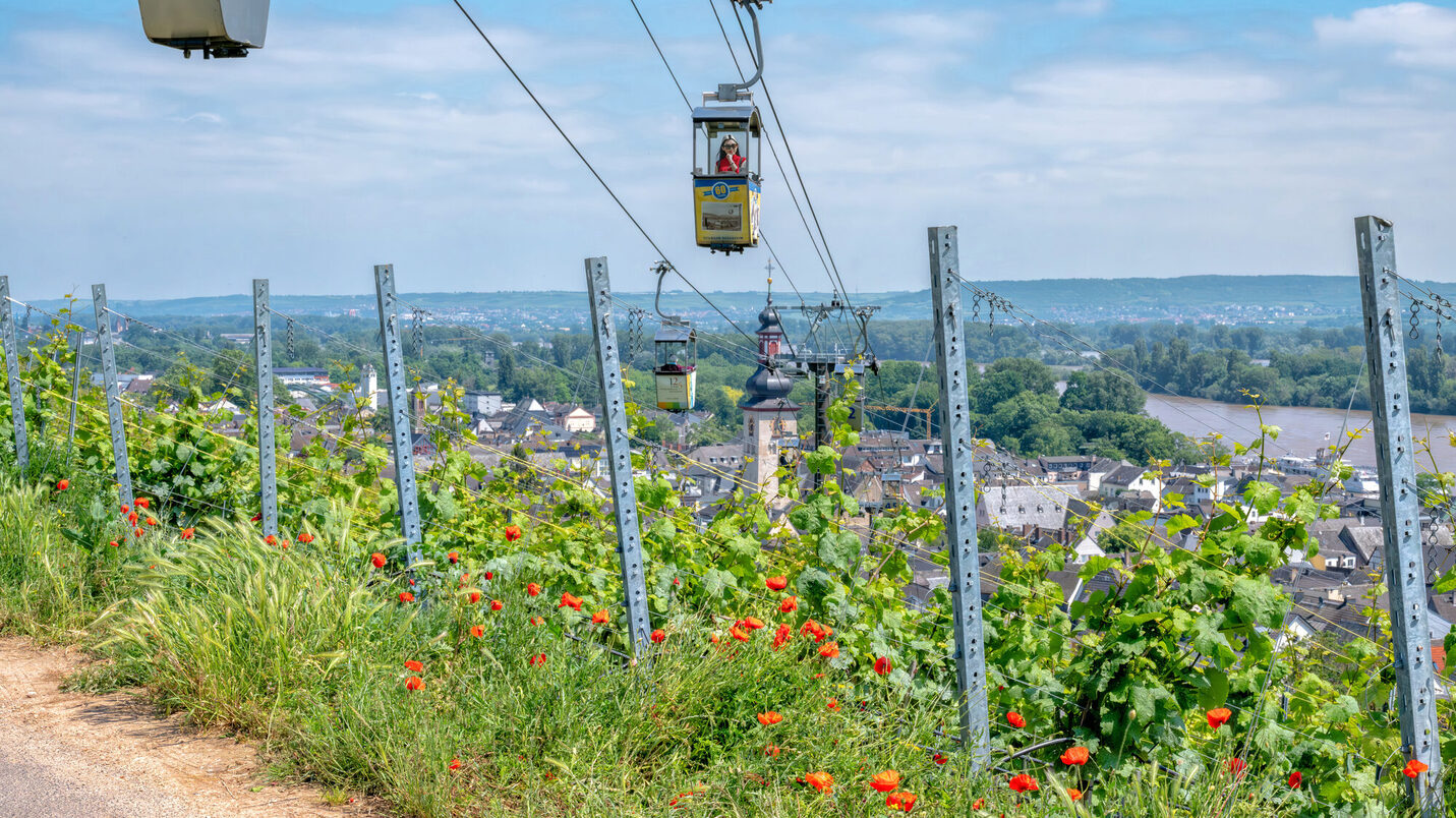 Wiesbaden Rheingau Gondel