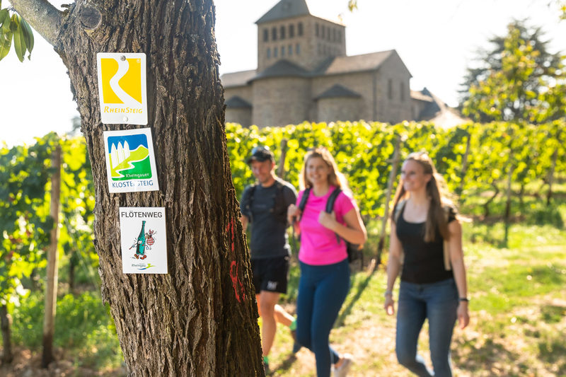 Wiesbaden Rheingau lädt zu vielen schönen Wanderungen ein.