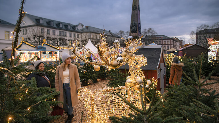 Mercado infantil de estrellas fugaces